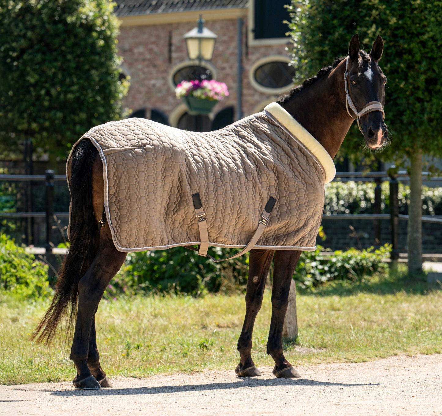 Showtime Special Sierdeken Taupe