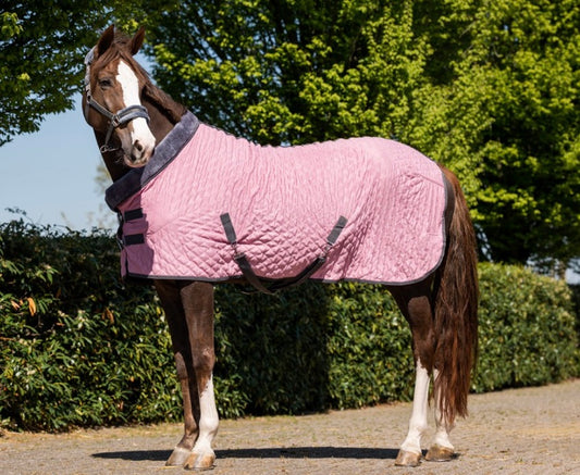 Showtime Sunset Deken Old Pink