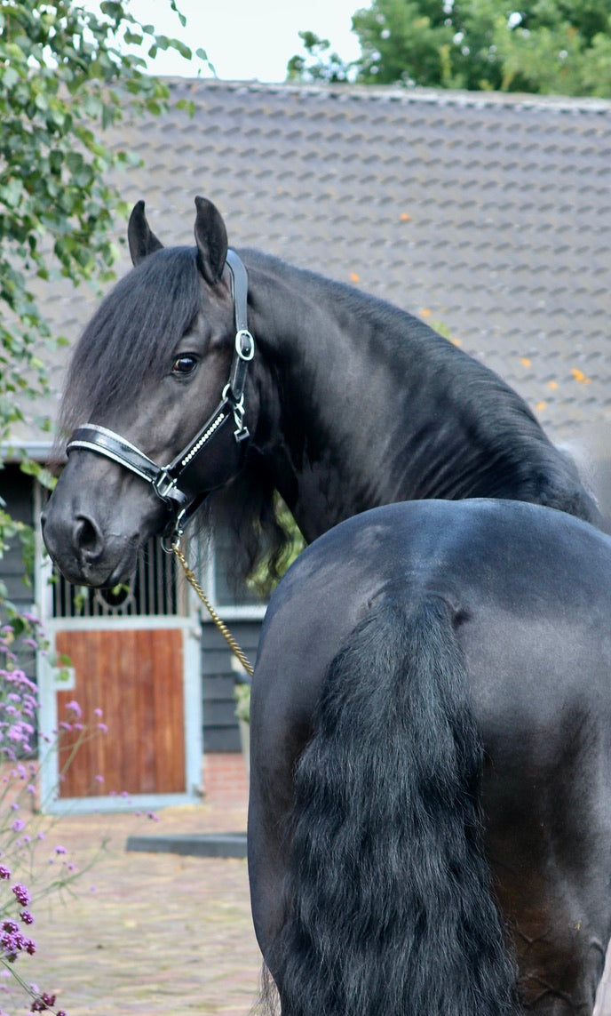 Halster Exclusive Swarovski fabric - Zilver