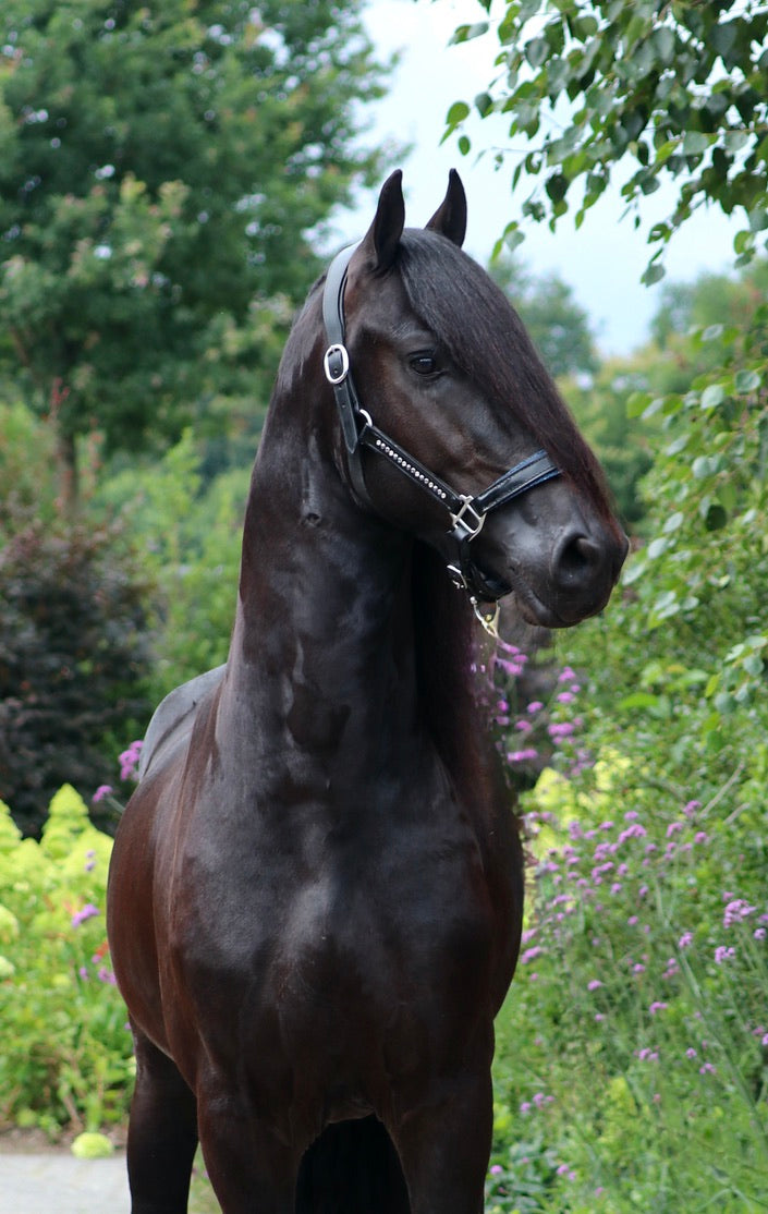 Halster Exclusive Swarovski fabric - Blauw