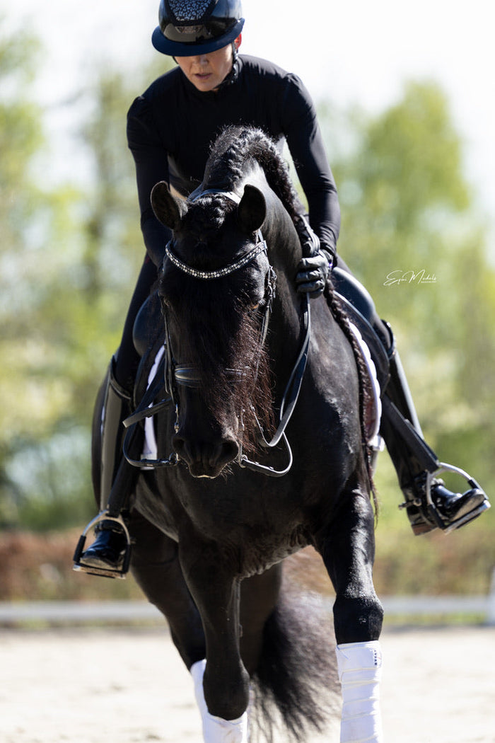 Hoofdstellen en Frontriemen