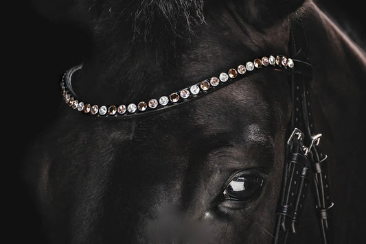 SWAROVSKI CLASSIC XL BROWBAND CRYSTAL ROSE