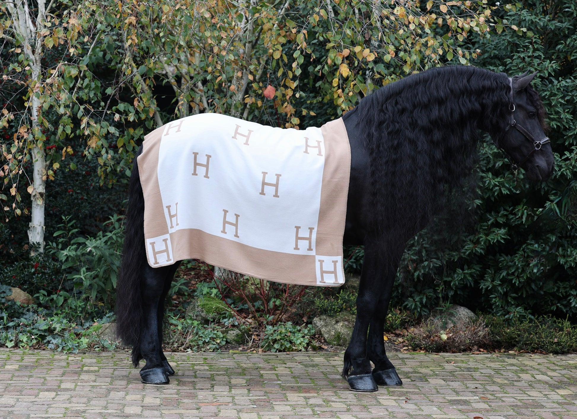 Horses and Lifestyle luxe H Plaid Sand