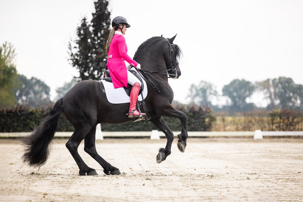 Lamantia Couture Frack Pink Club LE Rose