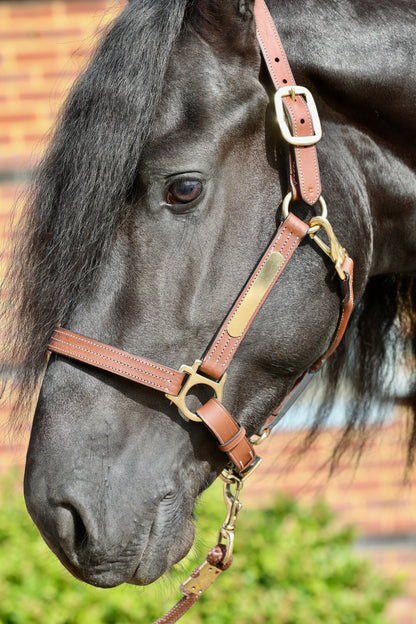 Leather Halter Cognac
