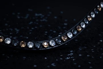 SWAROVSKI CLASSIC XL BROWBAND SILVER NIGHT LT COL TOPAZ