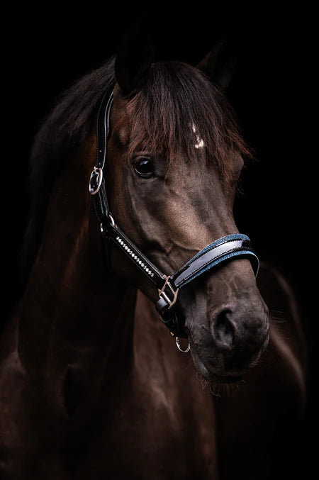 Halster Exclusive Swarovski fabric - Blauw