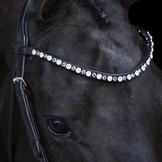 Swarovski Classic Browband LT Colorado Grey