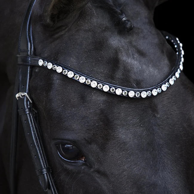 Swarovski Classic Browband LT Colorado Grey