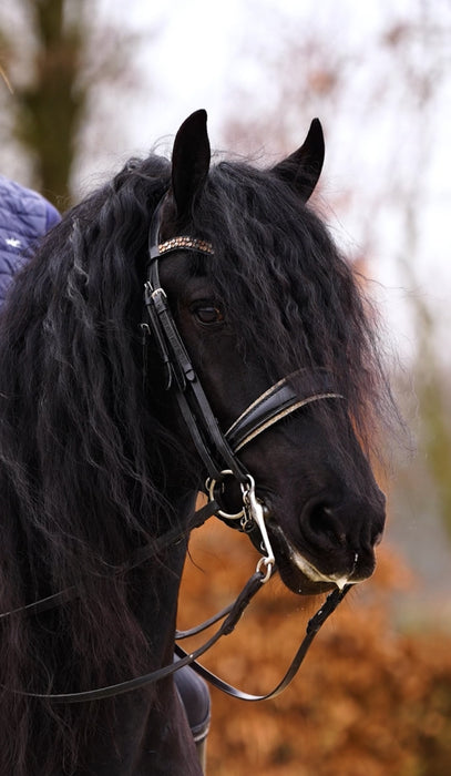 Swarovski Bridle Gold Rocks