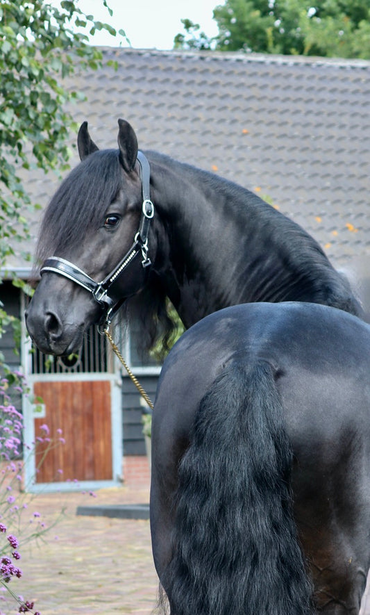 Halster Exclusive Swarovski fabric - Zilver