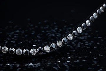 SWAROVSKI CLASSIC XL BROWBAND SILVER SHADE