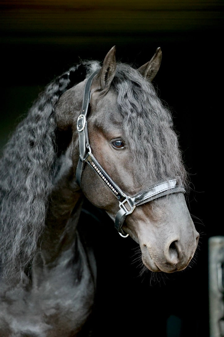 Halster Exclusive Swarovski fabric - Black