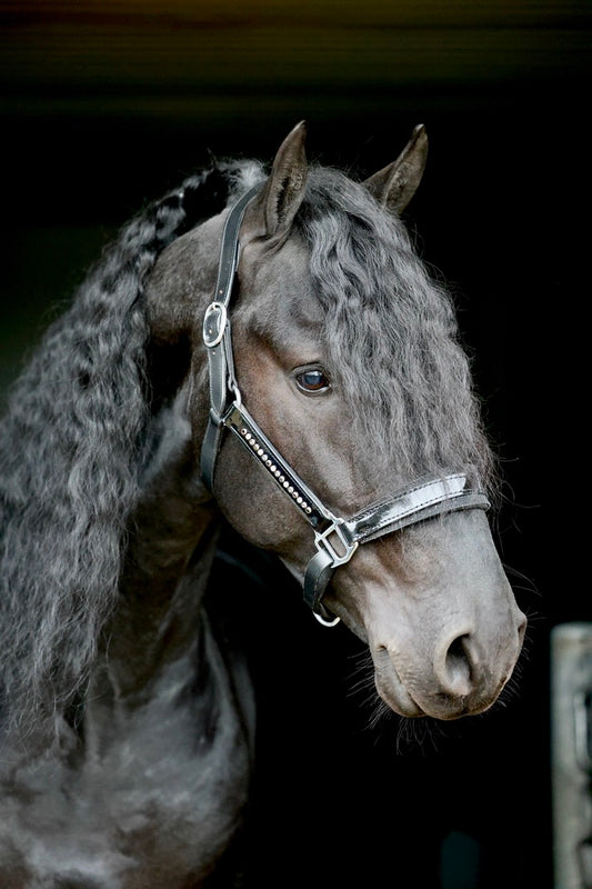 Halster Exclusive Swarovski fabric - Black