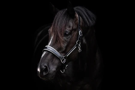 Halster Exclusive Swarovski fabric - Zilver