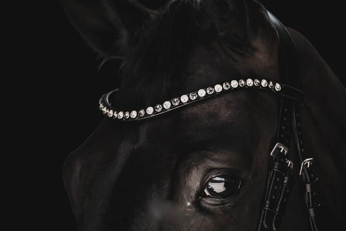 SWAROVSKI CLASSIC XL BROWBAND SILVER