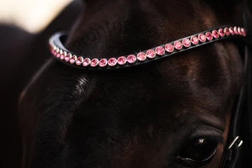 SWAROVSKI CLASSIC XL BROWBAND PINK PERFECT