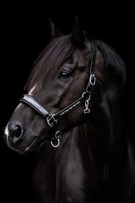 Halster Exclusive Swarovski fabric - Black