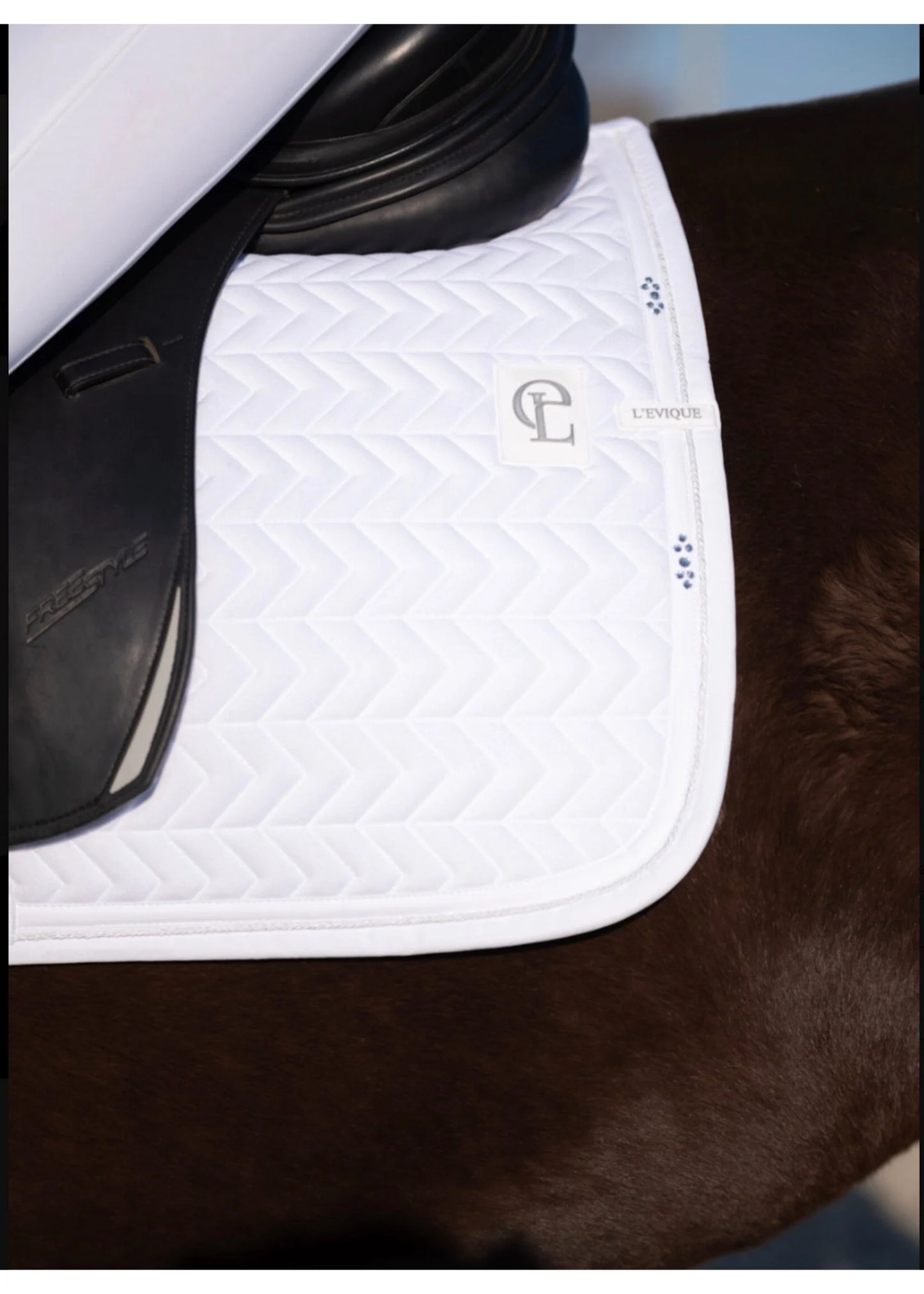 L'Evique Dressuur Sjabrak Cyra