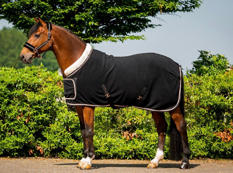 Showtime Dutch Crown Show deken Zwart Rose