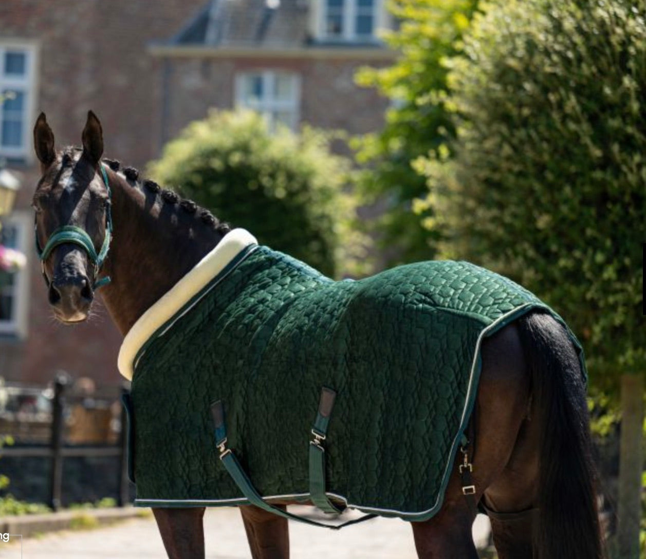 Showtime Special Sierdeken Forest Green