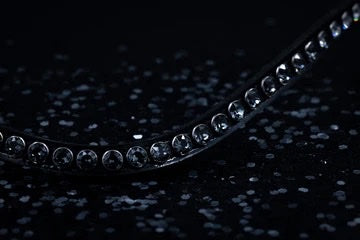 SWAROVSKI CLASSIC XL BROWBAND CRYSTAL SILVER NIGHT