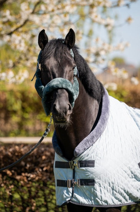 Showtime Sunset Deken ice blue