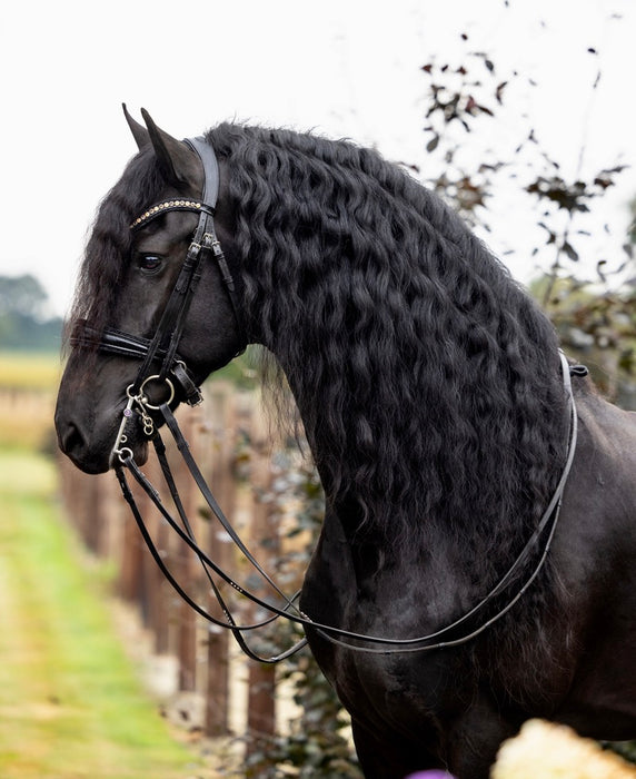 Swarovski Bridle Black Rocks
