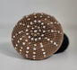 Swarovski Haarnet