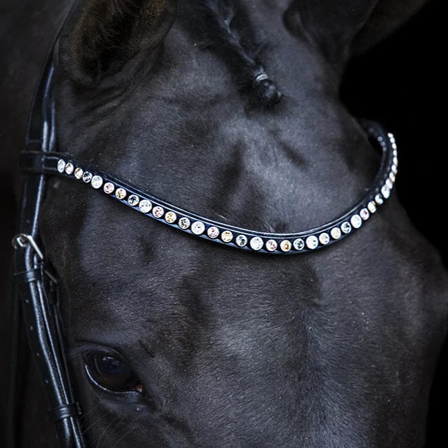 SWAROVSKI CLASSIC BROWBAND PASTEL