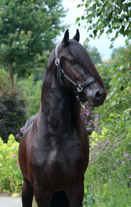 Halster Exclusive Swarovski fabric - Blauw